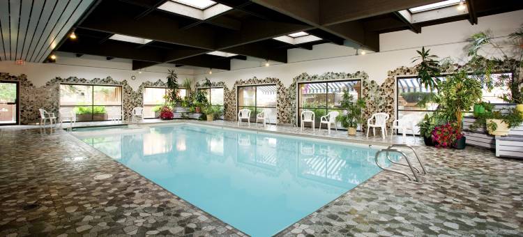 贾斯珀马默特旅舍(Marmot Lodge Jasper)图片