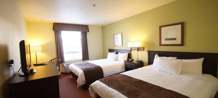 魁北克城温德姆速8酒店(Super 8 by Wyndham Quebec City)图片