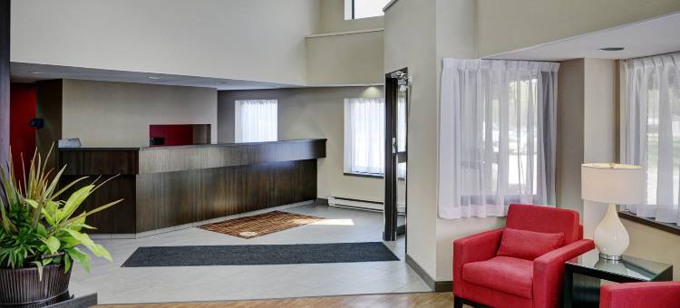 舒适酒店(Comfort Inn)图片