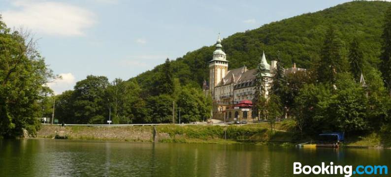 Alfa Hotel & Wellness Miskolctapolca图片