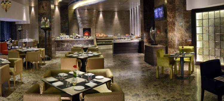 卢迪亚纳丽笙酒店(Radisson Blu Hotel MBD Ludhiana)图片
