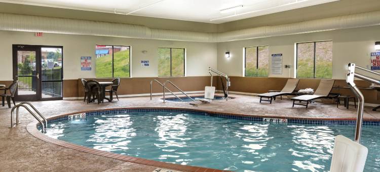 舒适套房酒店-桥港市克拉克斯堡(Comfort Suites Bridgeport - Clarksburg)图片