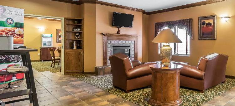 舒适套房酒店(Comfort Inn & Suites)图片