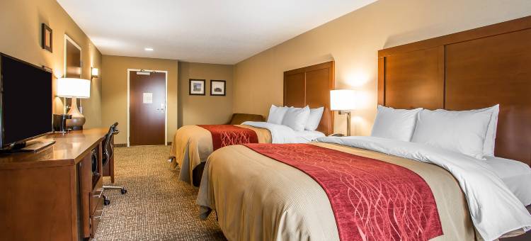 舒适酒店(Comfort Inn)图片