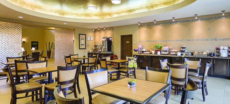 休斯顿能源走廊拉昆塔温德姆套房酒店(La Quinta Inn & Suites by Wyndham Houston Energy Corridor)图片