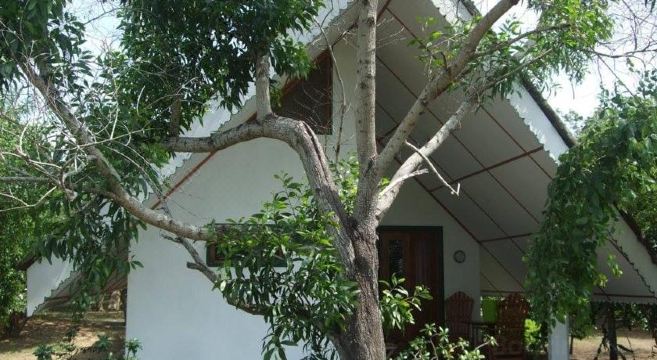 Suduweli Beauties of Nature - Yala Hotel Overview