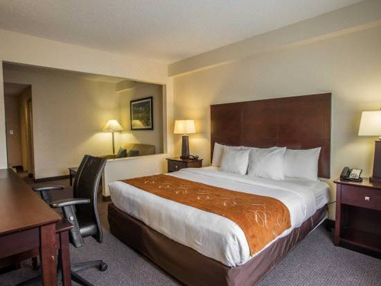 Comfort Suites Gastonia Charlotte Hotel Reviews And Room Rates
