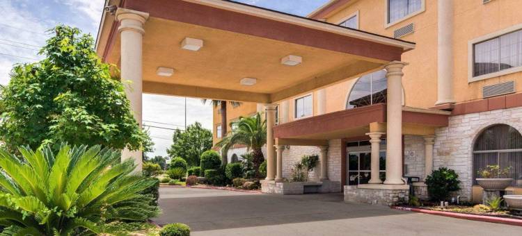 金伍德休斯顿北部舒适套房酒店(Comfort Suites Kingwood Houston North)图片