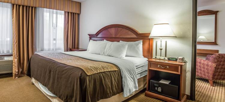 大学区凯艺套房酒店(Quality Inn & Suites University)图片