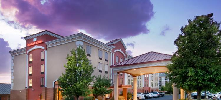 达勒斯机场舒适套房酒店(Comfort Suites Dulles Airport)图片