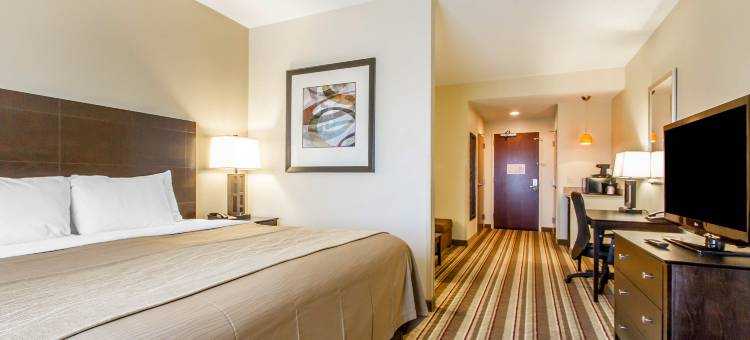 坎贝尔奥克格罗夫堡欢朋酒店(Hampton Inn by Hilton Oak Grove Fort Campbell)图片