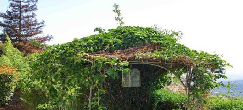 天上人间酒店(Shamayim Vaaretz)图片