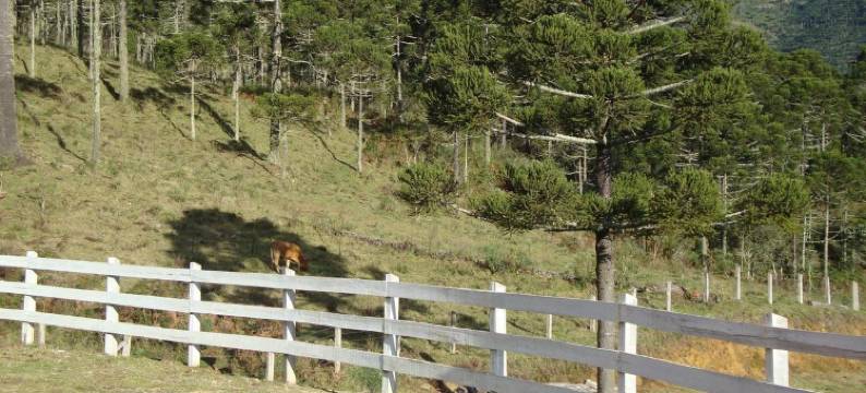 Sítio Recanto Das Araucárias图片