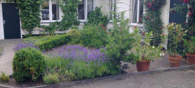 瑞恩简斯住宿加早餐旅馆(B&B Reintjens)图片