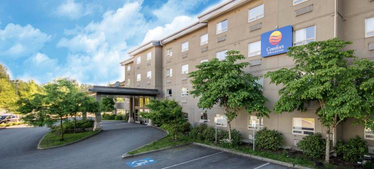 兰利舒适酒店(Comfort Inn & Suites)图片