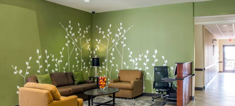 皮尔兰舒眠套房酒店-南休斯顿(Sleep Inn & Suites Pearland - Houston South)图片
