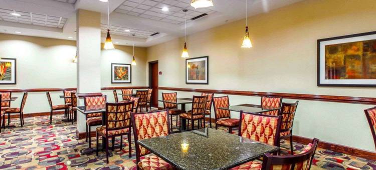 舒适套房酒店(Comfort Suites)图片