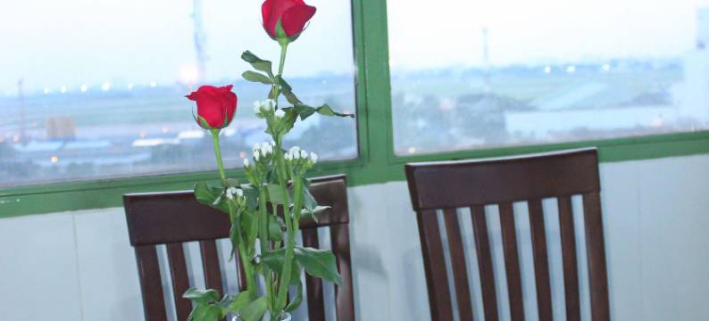 美灵酒店(Mi Linh Hotel)图片