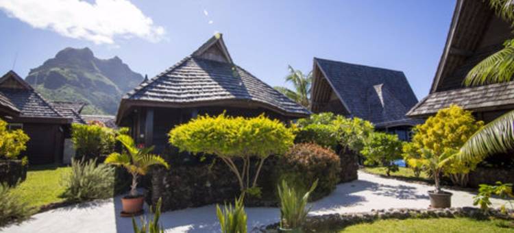 Oa Oa山林小屋(Oa Oa Lodge)图片