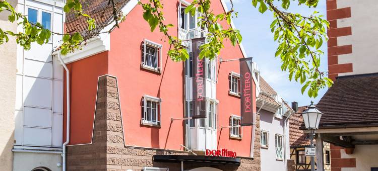 维连根-宪汶宁多梅洛酒店(Dormero Hotel Villingen-Schwenningen)图片