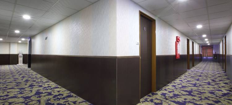 嘉义嘉冠大酒店图片