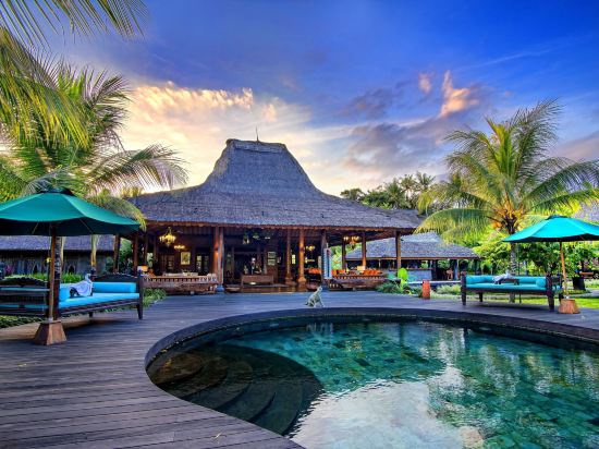 22+ Villa Majorelle Bali Pictures