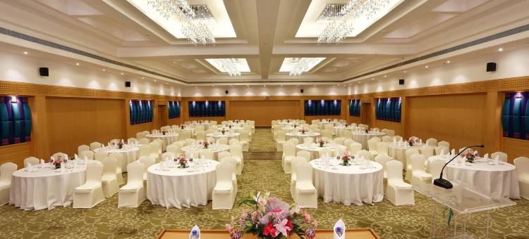 金奈绿色公园酒店(Green Park Chennai)图片