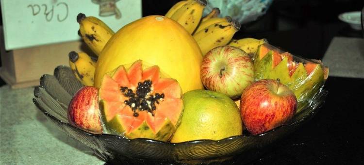 波苏阿莱格里菲尼克斯酒店(Fenix Hotel Pouso Alegre)图片