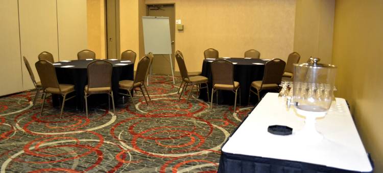 Holiday Inn 休斯顿南环路(Holiday Inn Houston S - NRG Area - Med Ctr)图片