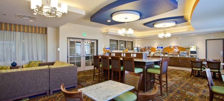 智选假日套房酒店丹佛芮(Holiday Inn Express & Suites Denver East-Peoria Street)图片