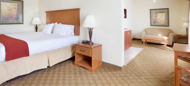 智选假日套房酒店萨帕塔 by IHG(Holiday Inn Express & Suites Zapata by IHG)图片