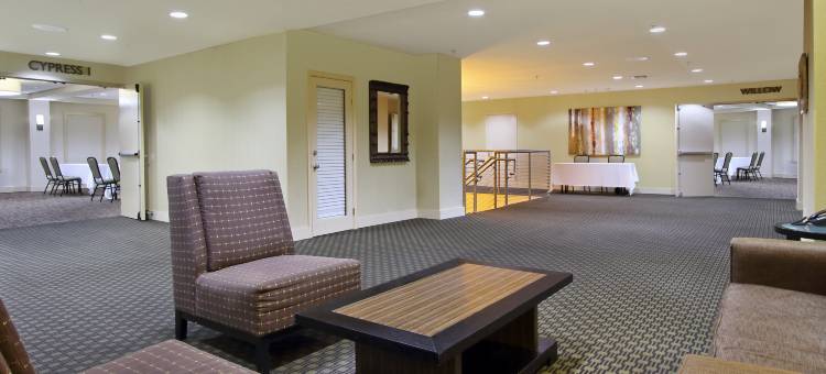 Holiday Inn 梅泰里新奥尔良机场(Holiday Inn Metairie New Orleans)图片