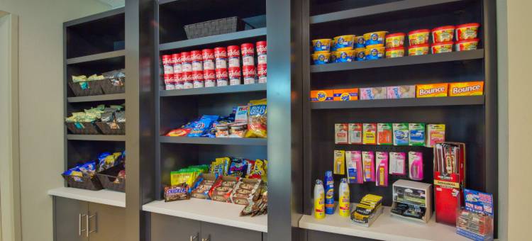 坦帕I-75布鲁斯B唐斯智选假日套房酒店(Holiday Inn Express & Suites Tampa-I-75 @ Bruce B. Downs)图片