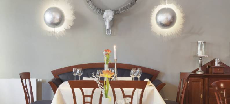 托绅克酒店(Hotel Domschenke)图片