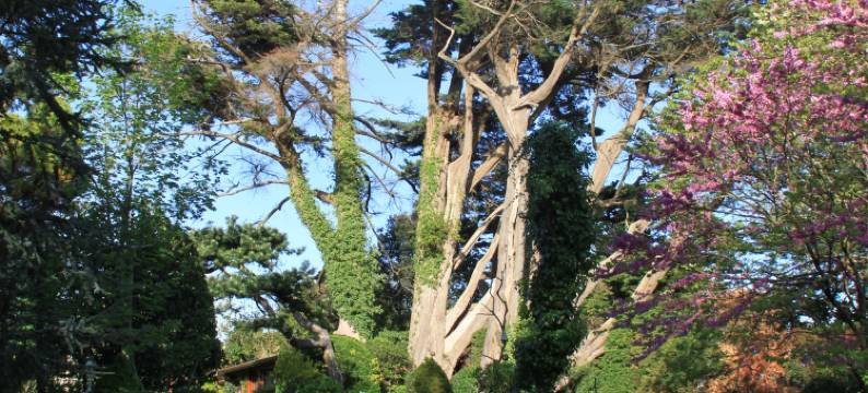 维多利亚公园酒店(Hotel Parc Victoria)图片