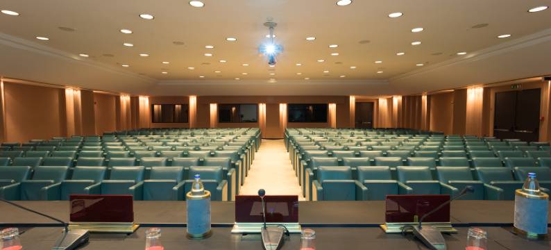 阿韦利诺迪拉别墅酒店(Hotel de La Ville Avellino)图片