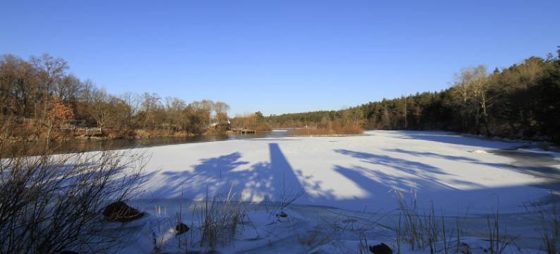长白山美人松宾馆图片