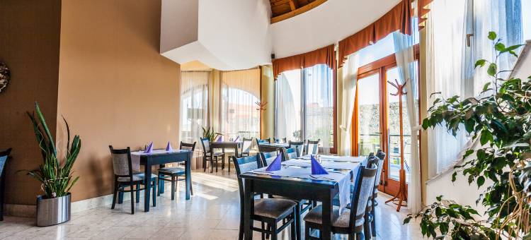 桑德尔酒店(Sándor Hotel)图片