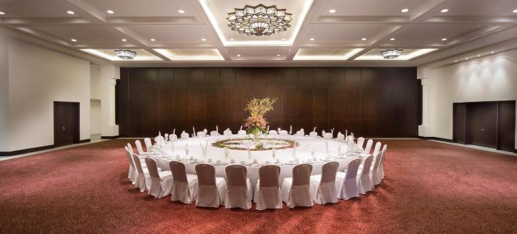 阿吉曼皇宫酒店(Bahi Ajman Palace Hotel)图片