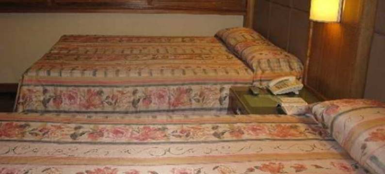 里奇维尔酒店(Richville Hotel)图片