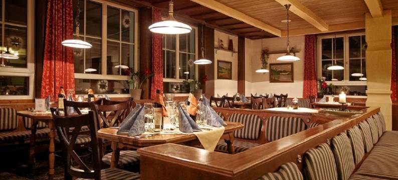 阿尔佩影响酒店的皮因茨高乐尔霍夫酒店(Hotel Pinzgauerhof by Alpeffect Hotels)图片