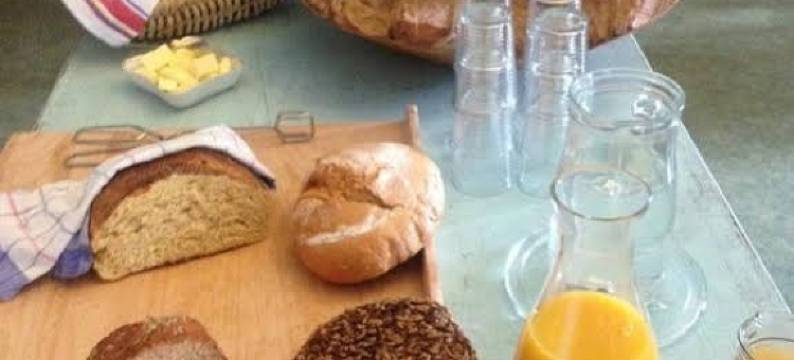 绍赫维茨锡林城堡住宿加早餐旅馆(Healing Castle Schochwitz)图片