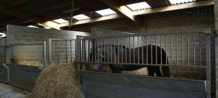 犹他海滩庄园(Domaine Utah Beach - le Grand Hard)图片