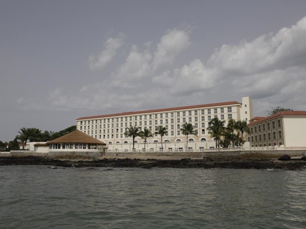 Palm CamayenneOver view