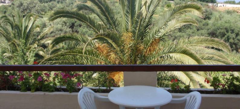 亚历山德罗斯公寓酒店(Alexandros Studios)图片