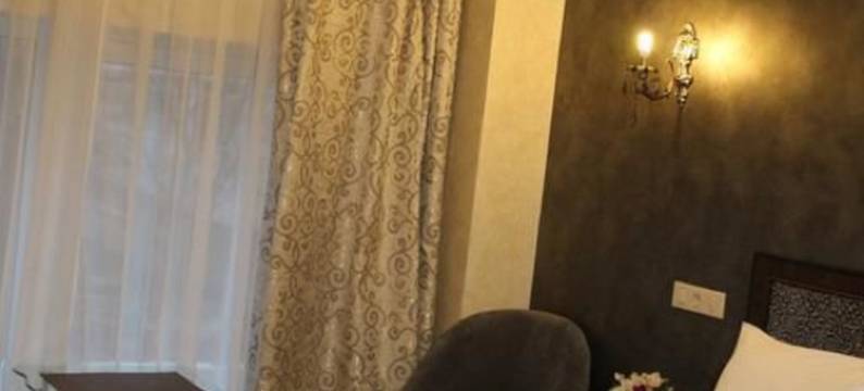 安吉利纳酒店(Hotel Angelina)图片