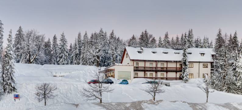 波戴勒高山酒店(Bödele Alpenhotel)图片