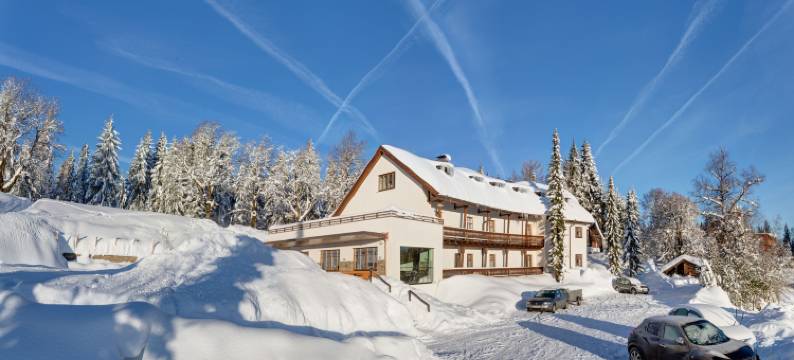 波戴勒高山酒店(Bödele Alpenhotel)图片