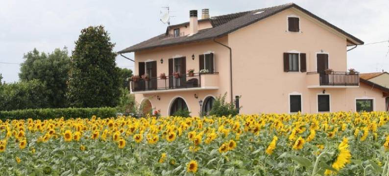 阿西西玫瑰民宿(Rosa di Assisi)图片