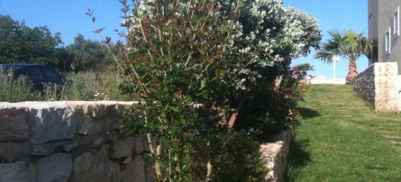 阿尔卡迪希尔斯遗产公寓(Arkadi Hills Estate)图片